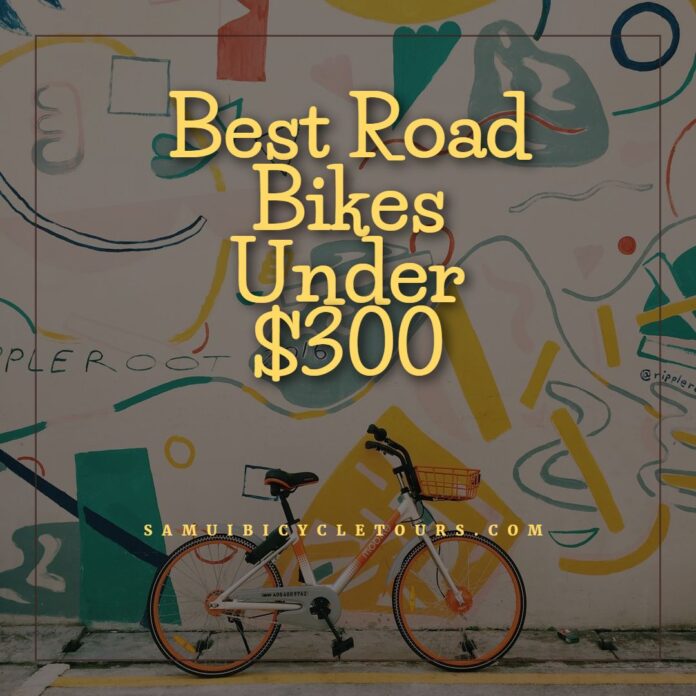 best road bikes under 300