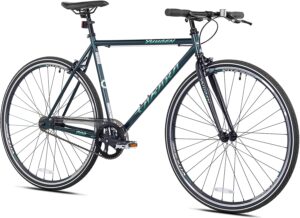 Takara Yuugen Single Speed Flat Bar Fixie Road Bike