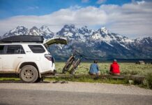 Bike Rack: Types & Usage Tips to Know